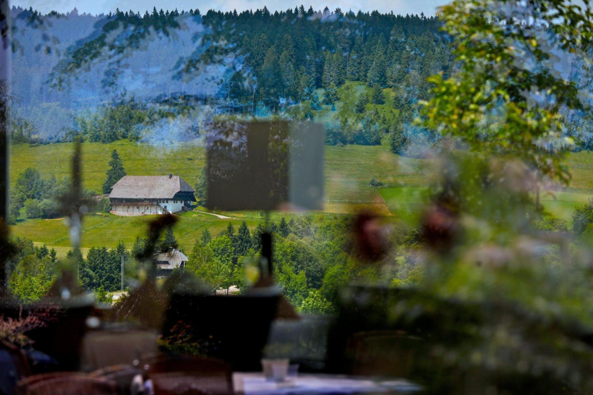 Parkhotel Flora Am Schluchsee Buitenkant foto